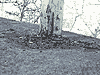 click for better view