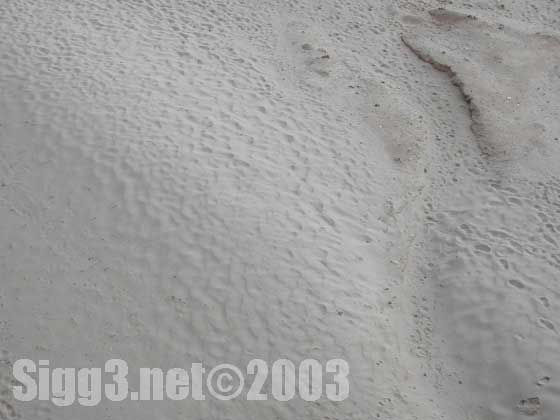 Sigg3.net(C)2003