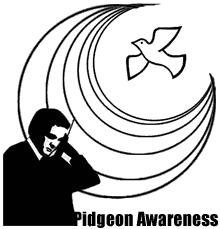 Pigeon Awareness